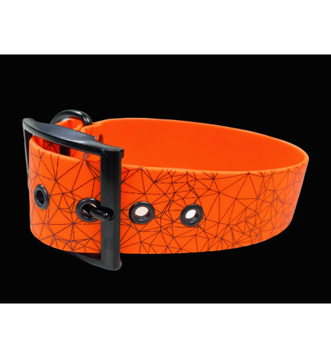 Collier "Orange in the new dog"