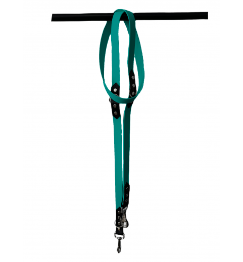 Laisse 3 positions Teal et noir