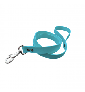 Laisse unicolore bleu clair