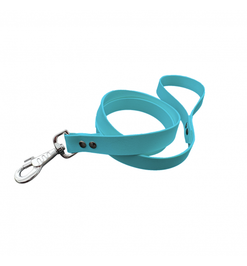 Laisse unicolore bleu clair