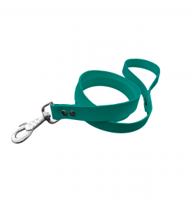 Laisse unicolore teal