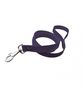 Laisse unicolore violet