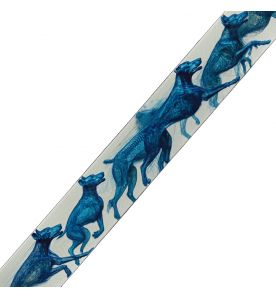 Sangle BioThane® imprimée 206