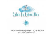 Salon Le Chien Bleu